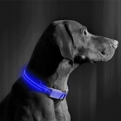 LED hundehalsbånd 40-48 cm genopladelig 1xCR2032/5V/40 mAh blå