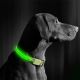 LED hundehalsbånd 40-48 cm genopladeligt 1xCR2032/5V/40 mAh grøn