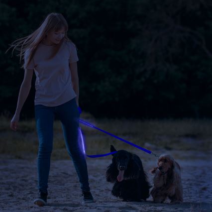 LED hundesnor 120 cm genopladelig 2xCR2032/5V/40 mAh blå