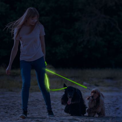 LED hundesnor 120 cm genopladelig 2xCR2032/5V/40 mAh grøn