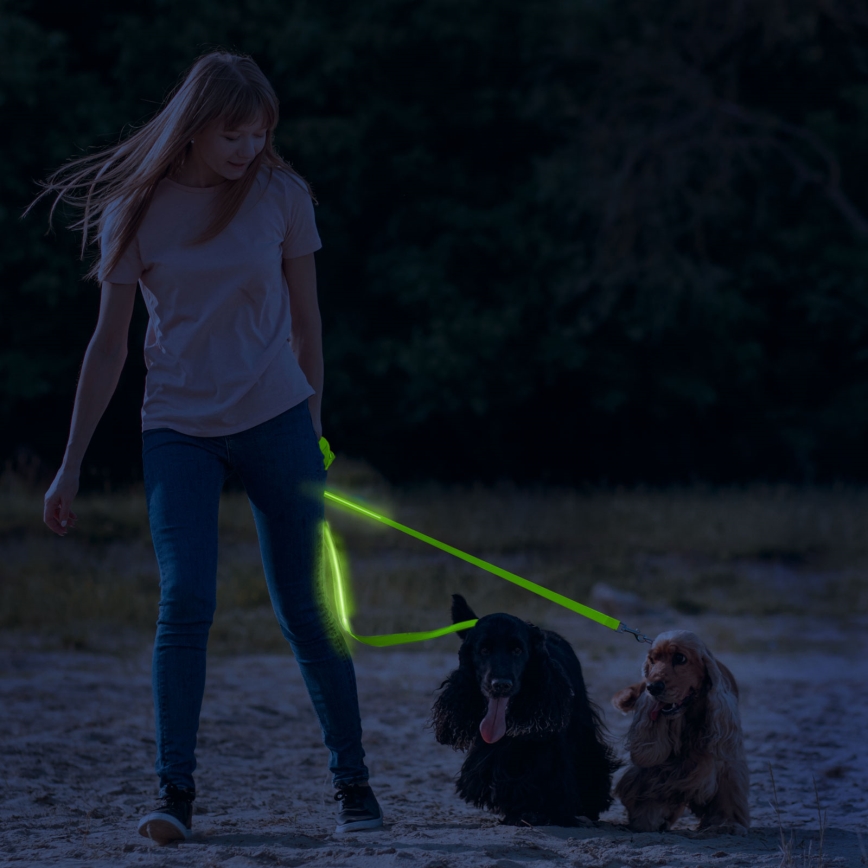 LED hundesnor 120 cm genopladelig 2xCR2032/5V/40 mAh grøn