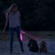 LED hundesnor 120 cm genopladelig 2xCR2032/5V/40 mAh pink