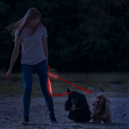 LED hundesnor 120 cm genopladelig 2xCR2032/5V/40 mAh rød