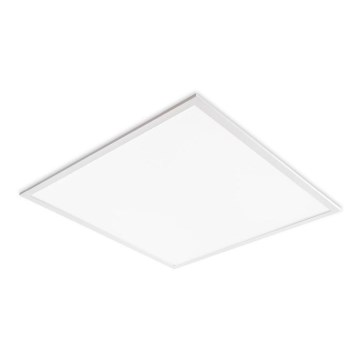 LED indbygningspanel DAVRO LED/40W/230V 4000K 59,5x59,5 cm hvid