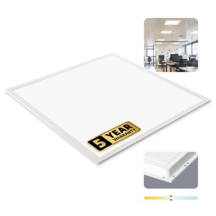 LED indbygningspanel DAVRO LED/40W/230V 4000K 59,5x59,5 cm hvid