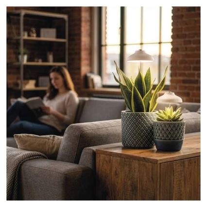 LED indendørs lampe til dyrkning af planter GROW LED/5W/5V