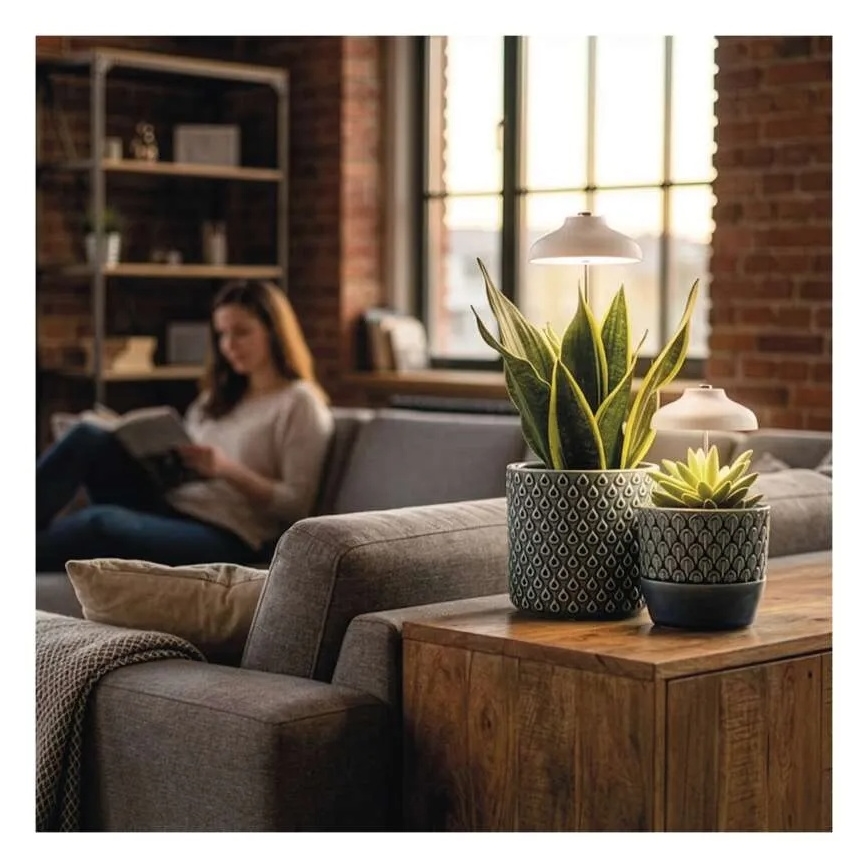 LED indendørs lampe til dyrkning af planter GROW LED/5W/5V