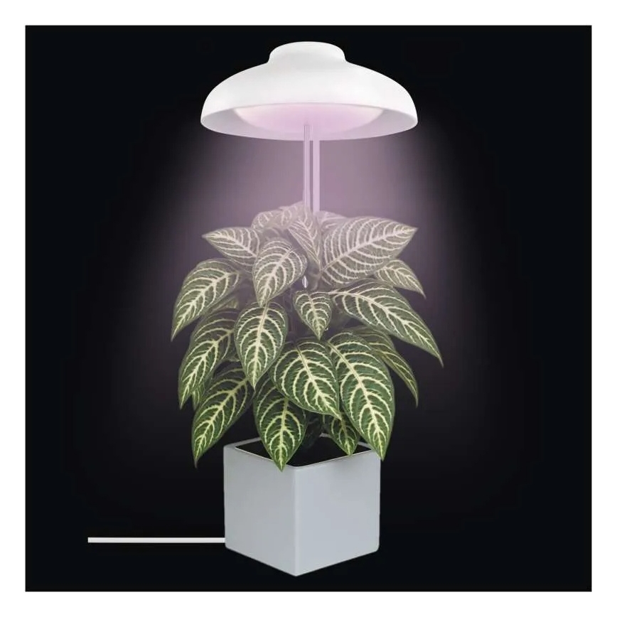 LED indendørs lampe til dyrkning af planter GROW LED/5W/5V