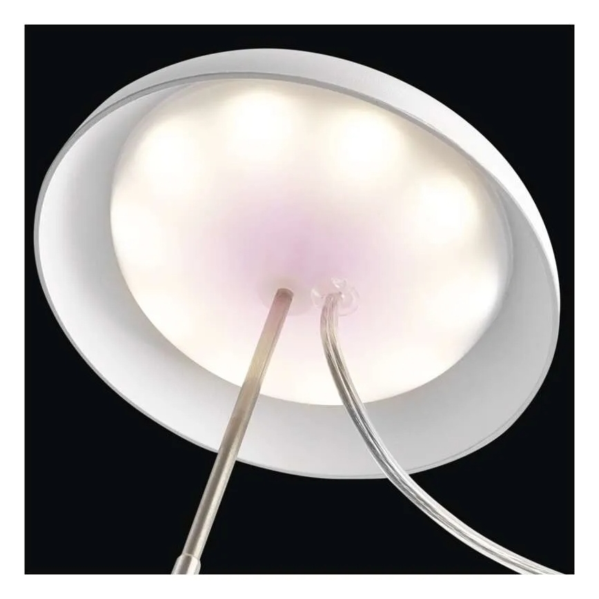 LED indendørs lampe til dyrkning af planter GROW LED/5W/5V