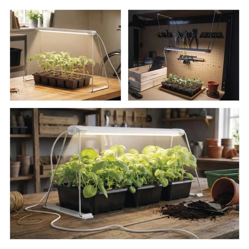 LED indendørs vækstlampe GROW LED/15W/230V