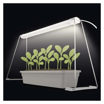 LED indendørs vækstlampe GROW LED/15W/230V