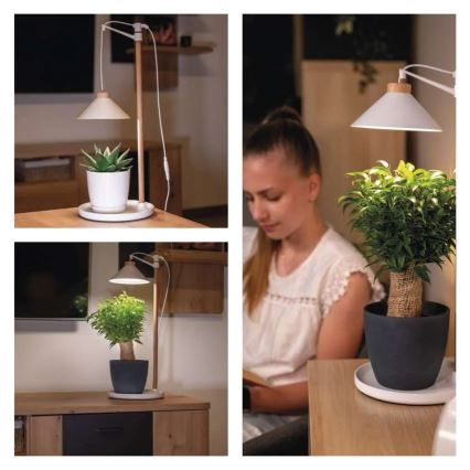 LED indendørslampe til dyrkning af planter GROW LED/7W/5V