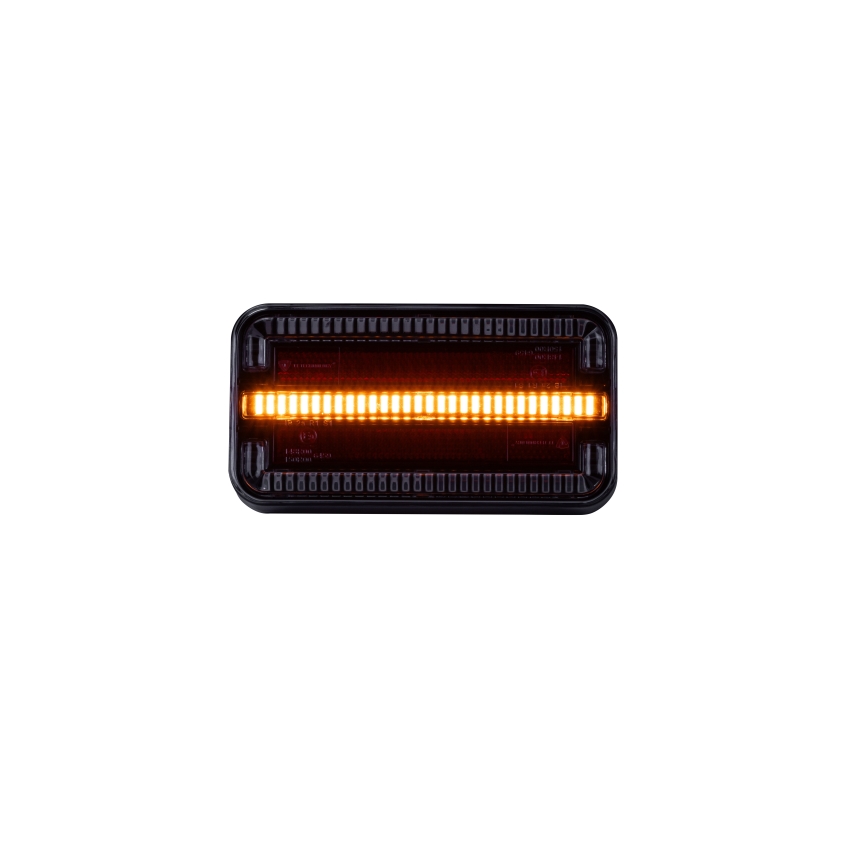 LED Kombinationslygte LED/12-24V IP65