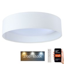 LED lampe dæmpbar SMART GALAXY LED/36W/230V diameter 55 cm Wi-Fi Tuya + fjernbetjening