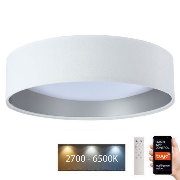 LED lampe dæmpbar SMART GALAXY LED/36W/230V diameter 55 cm Wi-Fi Tuya + fjernbetjening