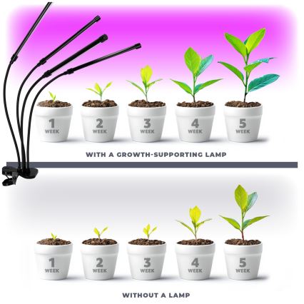 LED Dæmpbar flexible bordlampe med klemme til plantevækst VITARO 4xLED/10W/230V sort