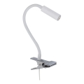 LED lampe med klemme LAGOS 1xG9/3W/230V 4000K hvid