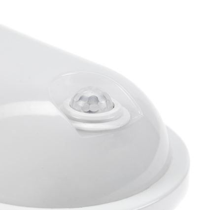 LED lampe med PIR-sensor LED/20W/230V IP54 robust