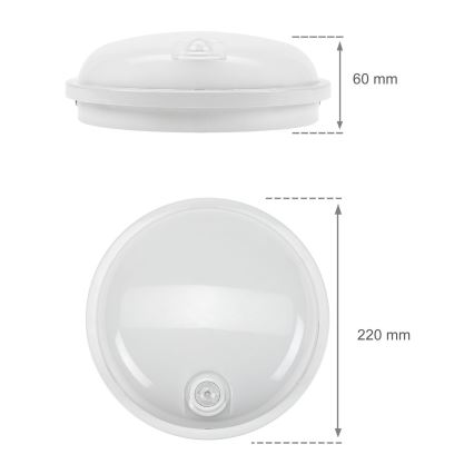 LED lampe med PIR-sensor LED/20W/230V IP54 robust