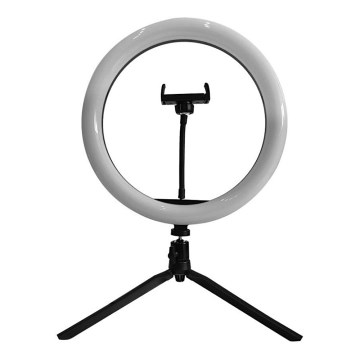 LED Lampe med stativ og holder til vlogging dæmpbar LED/10W/5V 3200-5500K