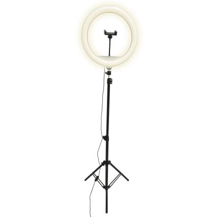 LED Lampe med stativ og holder til vlogging dæmpbar LED/15W/5V 2700-6500K