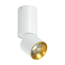 LED loft spotlys LED/10W/230V