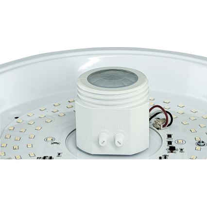 LED loftlampe med bevægelses- og skumringssensor samt nødmodul MANA LED/12W/230V 1500 mAh Ø 29 cm hvid