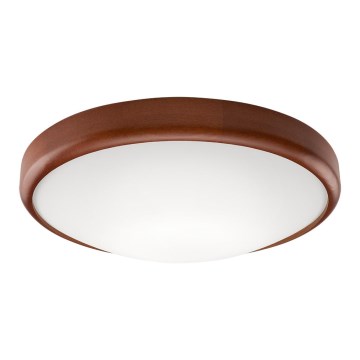 LED Loftlampe 1xLED/24W/230V