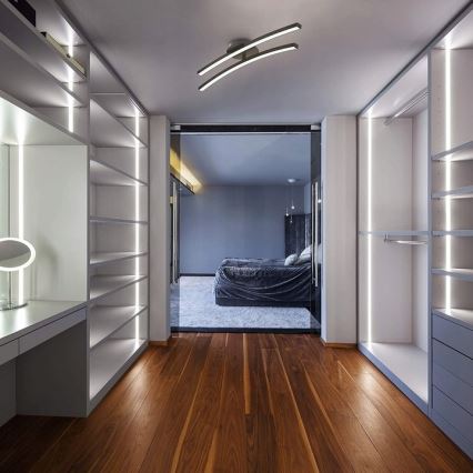 LED-loftlampe 2x LED/6W/230V 3000K sort