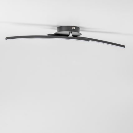 LED loftlampe 2xLED/6W/230V sort