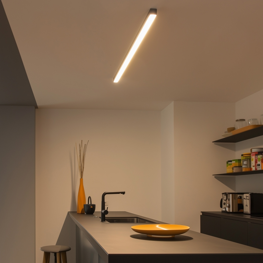LED loftlampe ALLDAY BASIC LED/20/30/40W/230V 2700/4000/6000K 120 cm sort