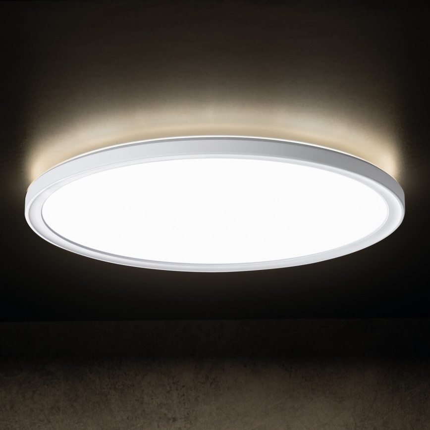 LED-loftlampe AZPO LED/22W/230V 3000/4000/6000K Ø 42 cm IP54 hvid
