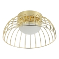 LED Loftlampe BETSY LED/12W/230V Ø 25 cm guld