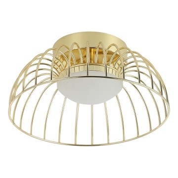 LED Loftlampe BETSY LED/12W/230V Ø 25 cm guld