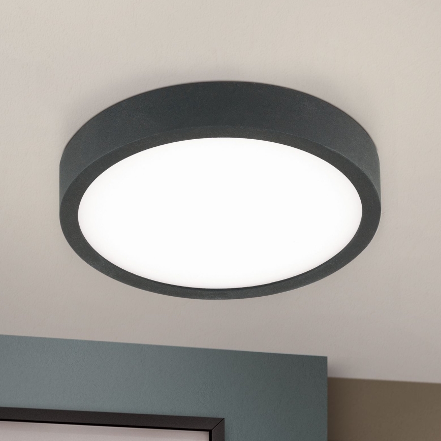 LED loftlampe BULLY LED/12W/230V diameter 14 cm sort