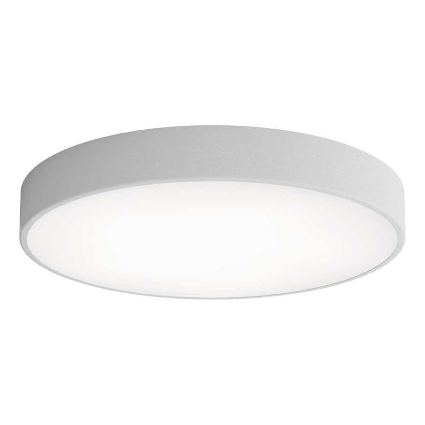 LED loftlampe CLEO LED/69W/230V 4000K diameter 60 cm grå