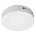 LED loftlampe DIEGO LED/12W/230V 4000K IP40 Ø 16,5 cm hvid