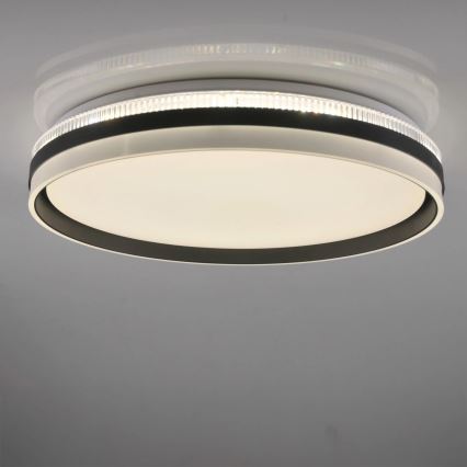 LED loftlampe til badeværelse dæmpbar BARBARA LED/72W/230V diameter 48,5 cm 3000-6000K IP44 + fjernbetjening