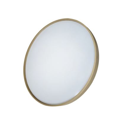LED loftlampe dæmpbar DRINA LED/36W/230V 2700-6500K diameter 50 cm + fjernbetjening
