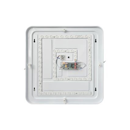 LED loftlampe dæmpbar FLORA LED/36W/230V 2700-6500K 43x43 cm + fjernbetjening