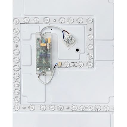 LED loftlampe dæmpbar FLORA LED/60W/230V 2700-6500K 53x53 cm + fjernbetjening