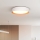 LED loftlampe dæmpbar LARIOS LED/48W/230V 3000-6500K diameter 39 cm hvid + fjernbetjening