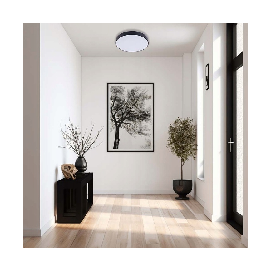 LED loftlampe dæmpbar LED/30W/230V 3000-6500K diameter 30 cm sort + fjernbetjening