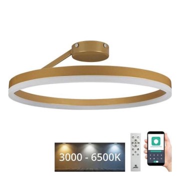 LED loftlampe dæmpbar LED/40W/230V 3000-6500K guldfarvet + fjernbetjening