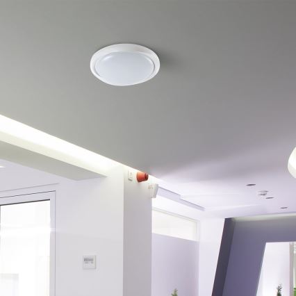 LED loftlampe dæmpbar LED/60W/230V 3000-6500K 49,2 cm hvid + fjernbetjening