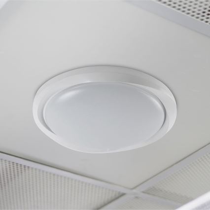 LED loftlampe dæmpbar LED/60W/230V 3000-6500K 49,2 cm hvid + fjernbetjening