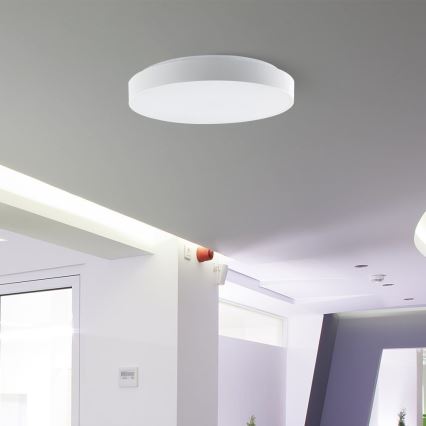 LED loftlampe dæmpbar LED/60W/230V 3000-6500K 49,5 cm hvid + fjernbetjening