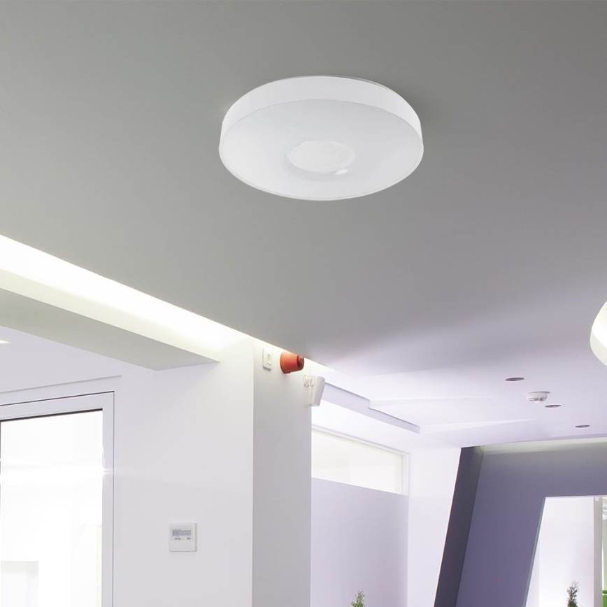 LED loftlampe dæmpbar LED/60W/230V 3000-6500K 49,5 cm hvid + fjernbetjening