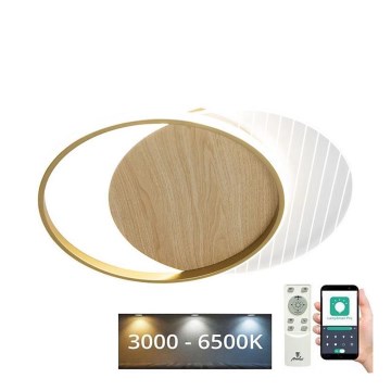 LED loftlampe dæmpbar LED/60W/230V 3000-6500K + fjernbetjening
