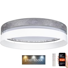LED loftlampe dæmpbar LIMA LED/36W/230V 2700-6500K Wi-Fi Tuya + fjernbetjening sølvfarvet/hvid